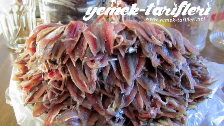 Hamsi – Palamut Tuzlama Tarifi