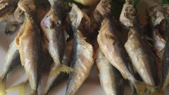 İstavrit Tava Tarifi